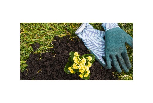 Toprak Bakımında Vermikompost