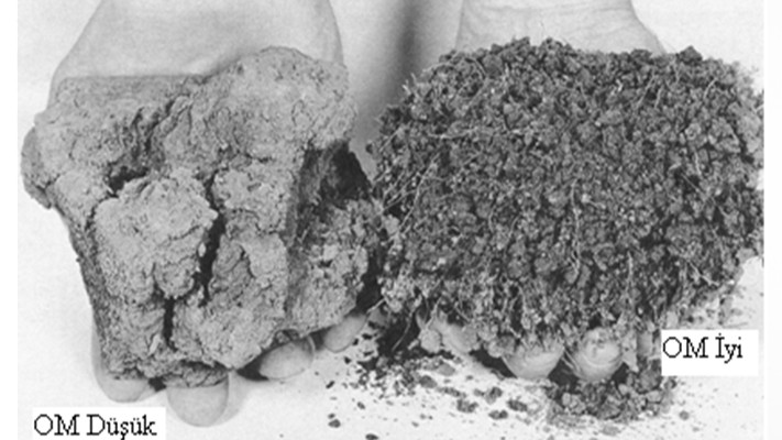 Toprak Verimliliğinde Organik Maddenin Önemi Toprak Verimliliğinde Organik Maddenin Önemi