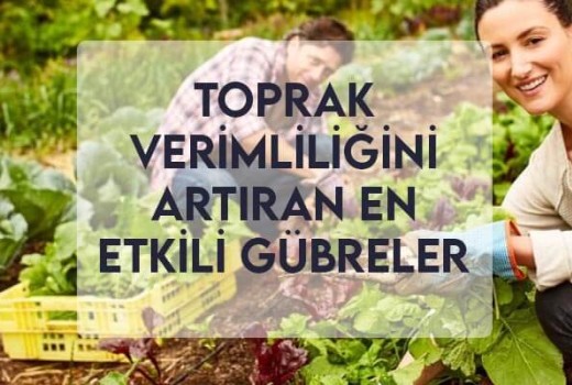 Toprak Verimliliğini Artıran En Etkili Gübreler Toprak Verimliliğini Artıran En Etkili Gübreler