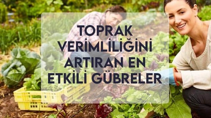 Toprak Verimliliğini Artıran En Etkili Gübreler