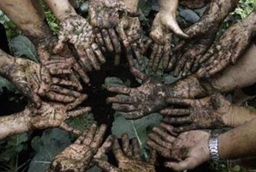 Türkiye Ve Dünyada Organik Tarım