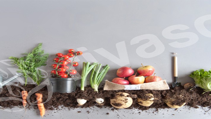 Vermikompost Ürünlerinin Bitki Koruma Amaçlı Kullanımı | Rivasol Vermikompost Ürünlerinin Bitki Koruma Amaçlı Kullanımı | Rivasol