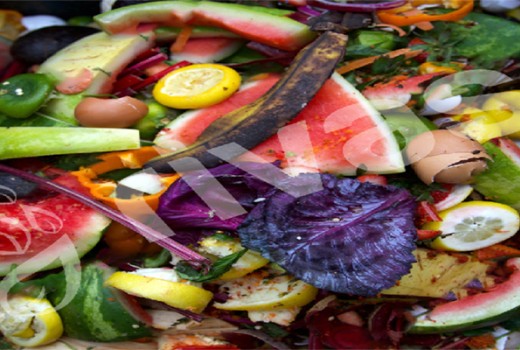 Vermikültür'ün Halk Sağlığı Açısından Rolü, Ab Süreci Ve Yasal Mevzuattaki Yeri | Rivasol Vermikültür'ün Halk Sağlığı Açısından Rolü, Ab Süreci Ve Yasal Mevzuattaki Yeri | Rivasol