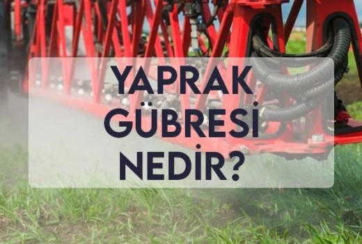 Yaprak Gübresi Nedir? Yaprak Gübresi Nedir?