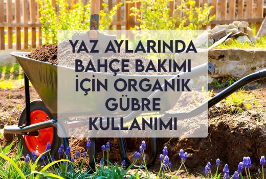 Yaz Aylarında Bahçe Bakımı İçin Organik Gübre Kullanımı Yaz Aylarında Bahçe Bakımı İçin Organik Gübre Kullanımı