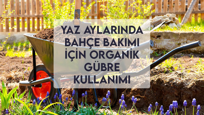 Yaz Aylarında Bahçe Bakımı İçin Organik Gübre Kullanımı Yaz Aylarında Bahçe Bakımı İçin Organik Gübre Kullanımı