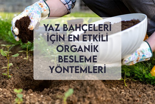 Yaz Bahçeleri İçin En Etkili Organik Besleme Yöntemleri Yaz Bahçeleri İçin En Etkili Organik Besleme Yöntemleri