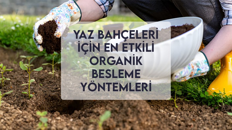 Yaz Bahçeleri İçin En Etkili Organik Besleme Yöntemleri