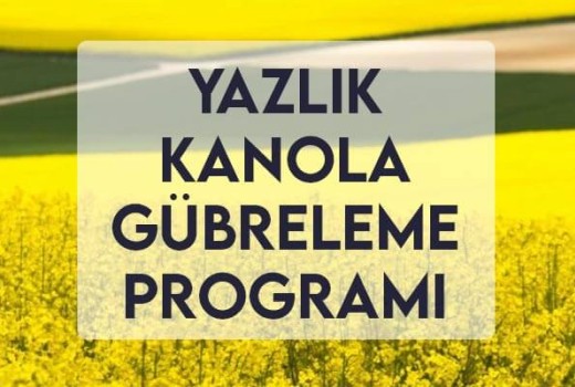 Yazlık Kanola Gübreleme Programı Yazlık Kanola Gübreleme Programı