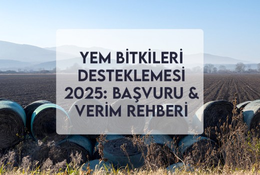 Yem Bitkileri Desteklemesi 2025: Başvuru & Verim Rehberi Yem Bitkileri Desteklemesi 2025: Başvuru & Verim Rehberi