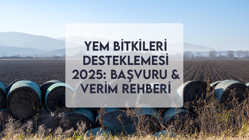 Yem Bitkileri Desteklemesi 2025: Başvuru & Verim Rehberi