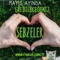 Mayıs ayında ne ekilir?