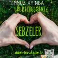 Temmuz ayında ne ekilir?
